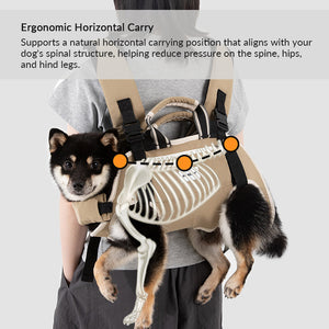 Horizontal support pet carrier helps maintain natural posture by supporting the chest, abdomen, and hindquarters.