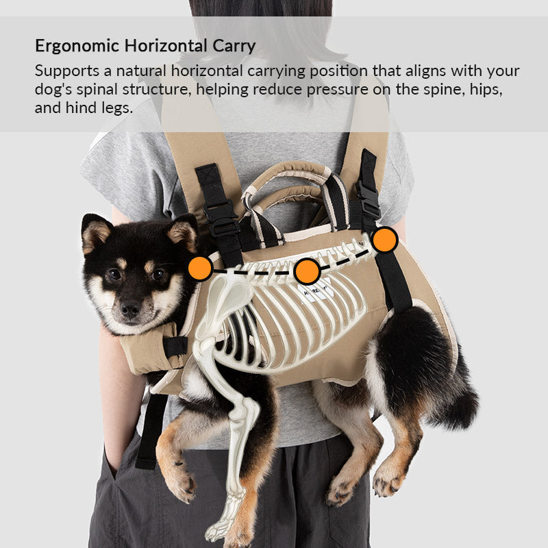 Horizontal support pet carrier helps maintain natural posture by supporting the chest, abdomen, and hindquarters.