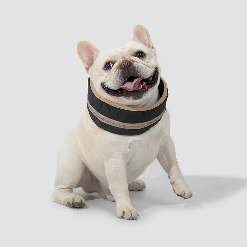 Pet Cooling Ice Collar - PetPark