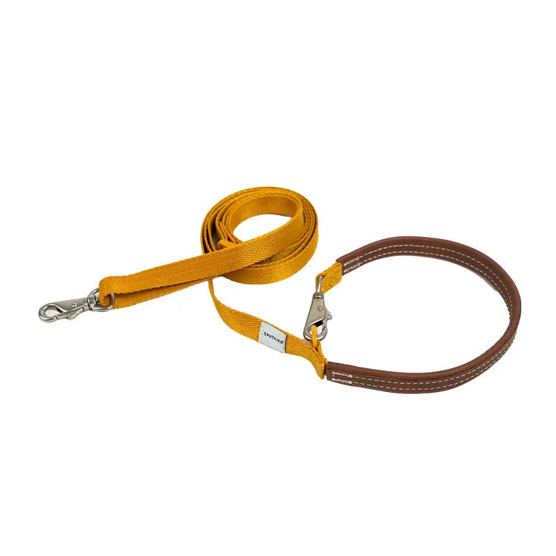 Adjustable dog leash in yellow with a genuine leather handle, styled for everyday city walks and adventures.