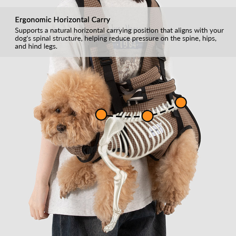 Horizontal support carrier design distributes weight across the chest, abdomen, and hindquarters for comfort.
