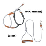 H-Style Leather & Round Rope Adjustable Dog Harness – Harness only or Harness & Leash Set Pet Park