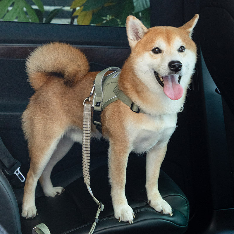 【2nd -50%】Valora Elastic Shock-Absorbing Pet Car Safety Belt