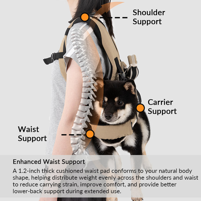 Dual-shoulder dog carrier with padded waist support distributes weight for more comfortable extended outings.