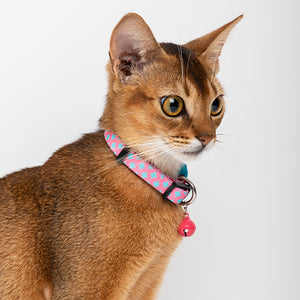 Colorful / Rainbow Cat Collar With Bell - PetPark