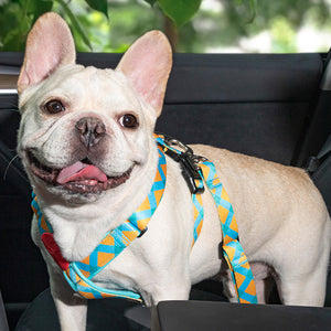 Colorful Car Seat Belt Pet Leash - PetPark