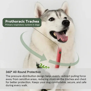 Trachea-friendly dog harness design illustrating 360-degree pressure distribution away from the throat during walks.