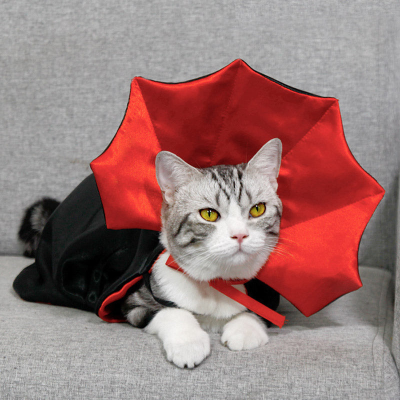 Halloween Pet Cape PetPark