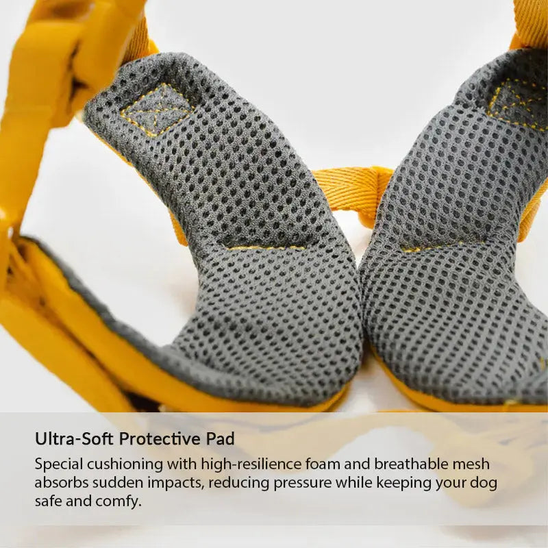 Breathable mesh harness padding with resilient foam cushioning for soft pressure relief and comfortable daily walks.