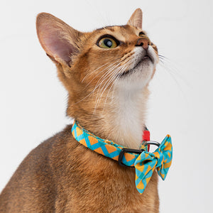 Colorful / Rainbow Cat Collar With Bell - PetPark