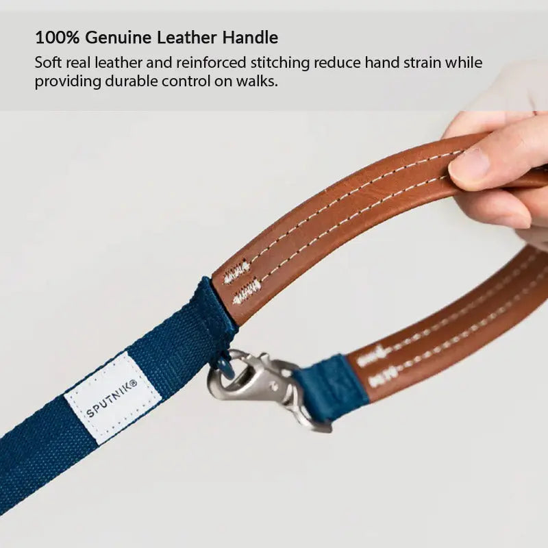Genuine leather handle on a blue dog leash, reinforced for a soft grip and reliable everyday walking control.