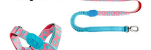 Colorful PRO 3-Way Shock-Absorbing Traction Dog Leash – Single or Set with Protective Trachea X Harness - PetPark