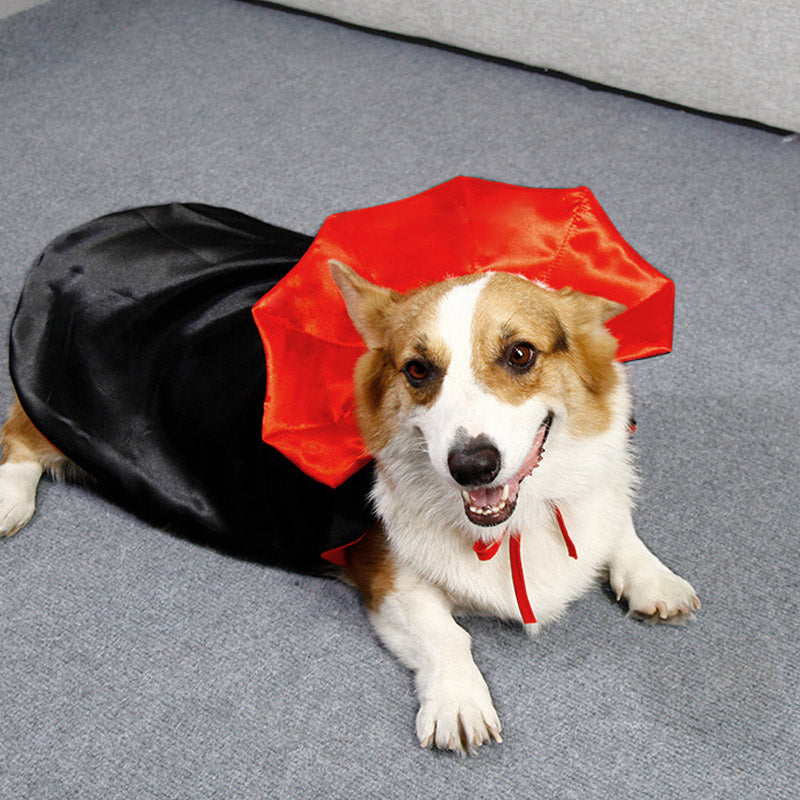 Halloween Pet Cape PetPark