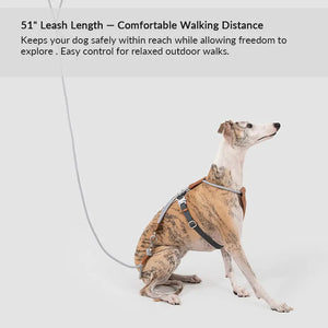Leather & Thick Round Rope Dog Leash – Leash Only or Harness & Leash Set Pet Park