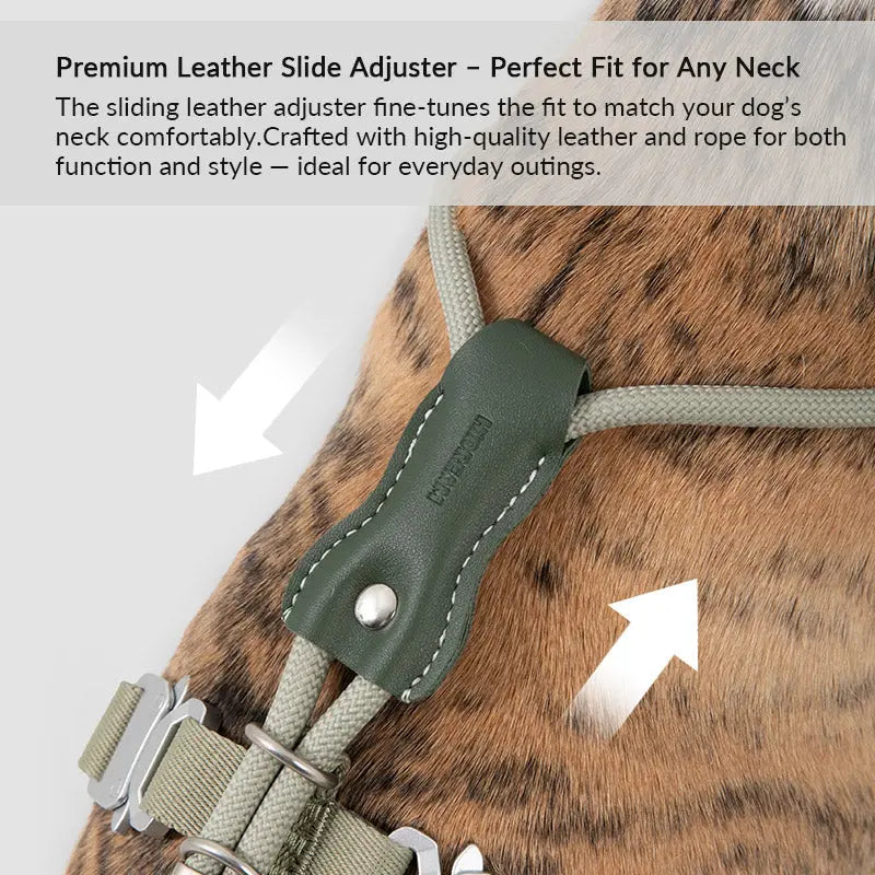 H-Style Leather & Round Rope Adjustable Dog Harness – Harness only or Harness & Leash Set Pet Park