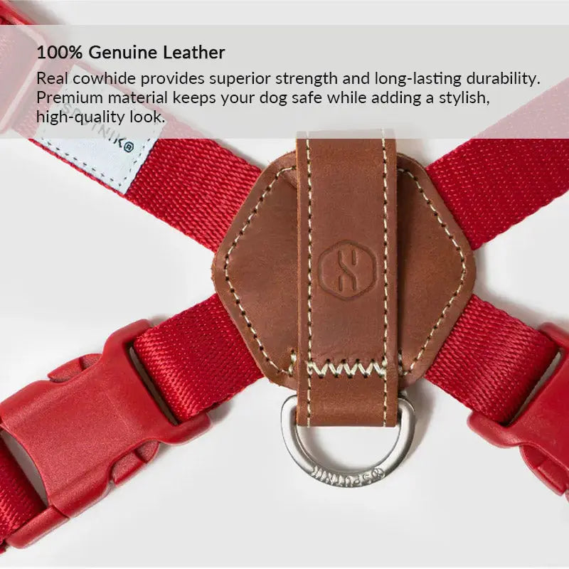 Genuine leather back pad on TERRA dog harness, adding durable comfort and a refined everyday walking style.