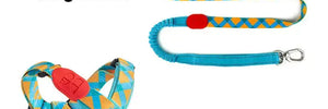 Colorful PRO 3-Way Shock-Absorbing Traction Dog Leash – Single or Set with Protective Trachea X Harness - PetPark