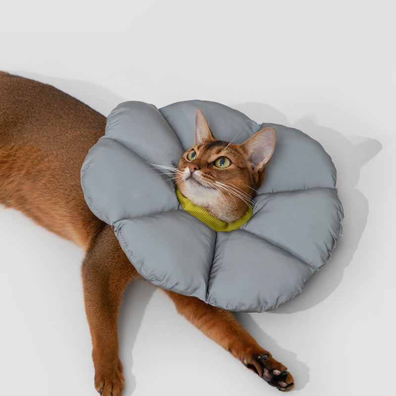 Pet Anti-Lick Anti-Bite Elizabethan Collar - PetPark