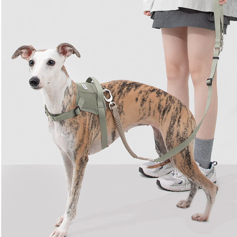 Valora Multi-Function Elastic Shock Absorbing Leash / Compatible with Dual-Leash Extender / Crossbody Waist-Shoulder Strap