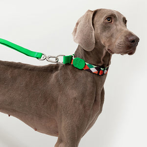 Colorful PRO Half P-Shaped Dog Collaror For Training and Everyday - PetPark