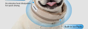 Pet Cooling Ice Collar - PetPark