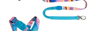 Colorful PRO 3-Way Shock-Absorbing Traction Dog Leash – Single or Set with Protective Trachea X Harness - PetPark