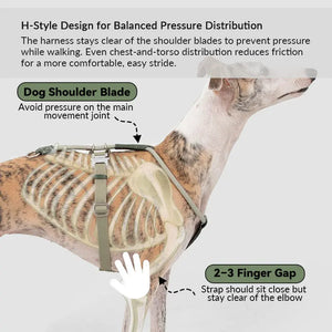 H-Style Leather & Round Rope Adjustable Dog Harness – Harness only or Harness & Leash Set Pet Park