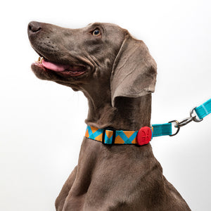 Colorful PRO Half P-Shaped Dog Collaror For Training and Everyday - PetPark