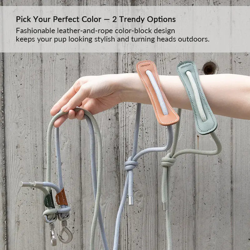 Leather & Thick Round Rope Dog Leash – Leash Only or Harness & Leash Set Pet Park