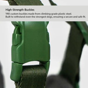 YKK quick-release buckle close-up on TERRA dog harness, designed for a secure fit and easy everyday wear.