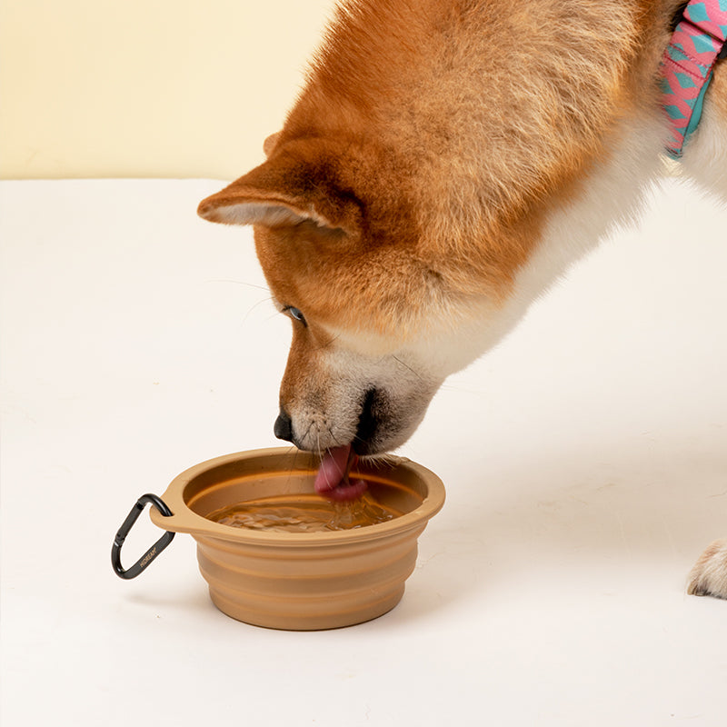 Food-grade silicone Collapsible Trave Pet Bowls - PetPark