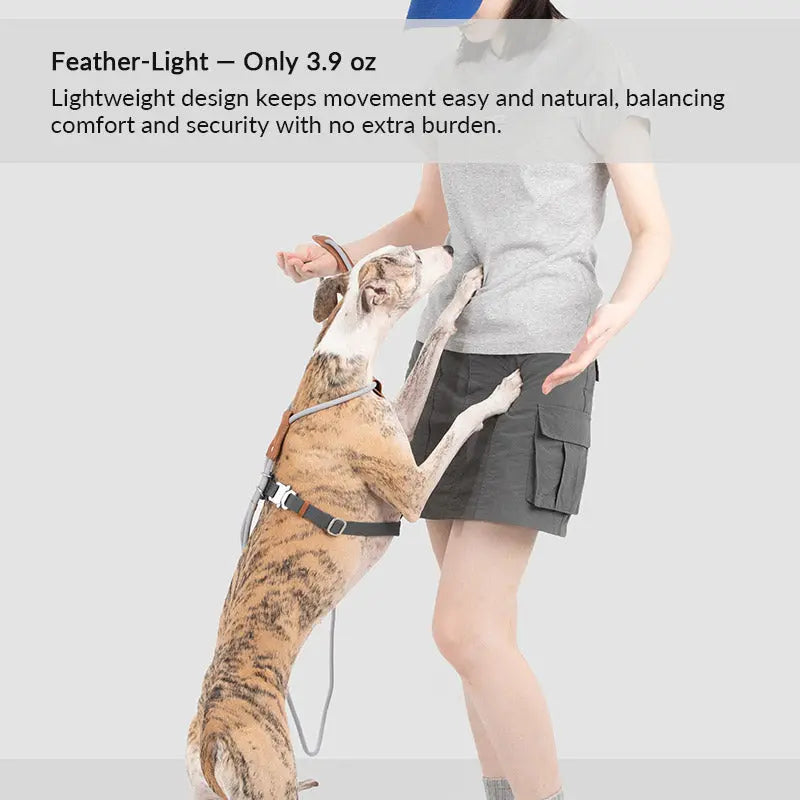 H-Style Leather & Round Rope Adjustable Dog Harness – Harness only or Harness & Leash Set Pet Park