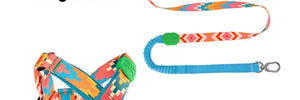 Colorful PRO Protective Trachea Dog X Harness – Single or Set with 3-Way Shock-Absorbing Leash - PetPark
