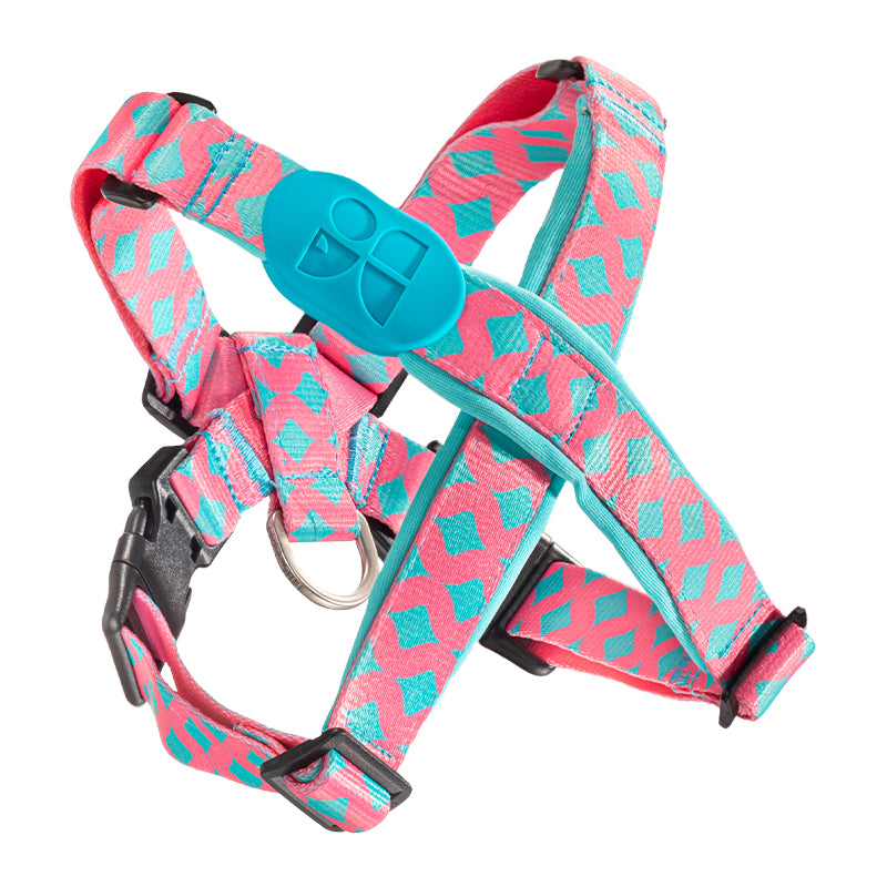 Colorful PRO Protective Trachea Dog X Harness – Single or Set with 3-Way Shock-Absorbing Leash