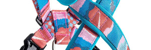Colorful PRO Protective Trachea Dog X Harness - PetPark