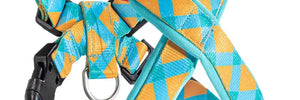Colorful PRO Protective Trachea Dog X Harness - PetPark