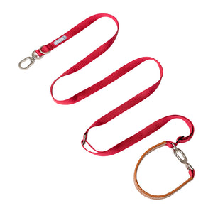 Color_Cardamom red Leash